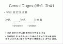 급성 바이러스성 간염 (acute viral hepatitis ) 24페이지