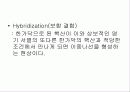 급성 바이러스성 간염 (acute viral hepatitis ) 26페이지