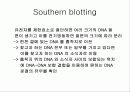 급성 바이러스성 간염 (acute viral hepatitis ) 27페이지