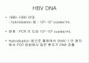 급성 바이러스성 간염 (acute viral hepatitis ) 29페이지