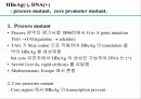 급성 바이러스성 간염 (acute viral hepatitis ) 39페이지