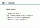 급성 바이러스성 간염 (acute viral hepatitis ) 40페이지
