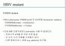 급성 바이러스성 간염 (acute viral hepatitis ) 41페이지