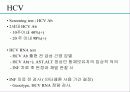 급성 바이러스성 간염 (acute viral hepatitis ) 47페이지