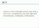 급성 바이러스성 간염 (acute viral hepatitis ) 57페이지