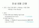 급성 바이러스성 간염 (acute viral hepatitis ) 70페이지