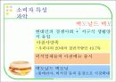 라이프 스타일의 특성 - 마케팅 적용 사례 10페이지