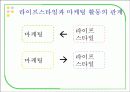 라이프 스타일의 특성 - 마케팅 적용 사례 16페이지