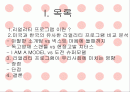 리얼리티 프로그램의 비교분석 2페이지