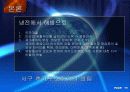 21세기와 글로벌문화 - 후기구조주의를 넘어서  17페이지