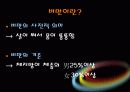 비만과 건강 3페이지