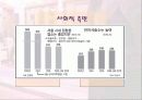 성매매 특별법의 실효성 13페이지