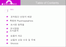 중국인 유학생을 대상으로 한 여행상품 개발 2페이지