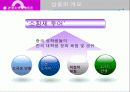 중국인 유학생을 대상으로 한 여행상품 개발 13페이지