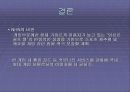 NHN, 네이버(Never)의 성공사례분석 34페이지