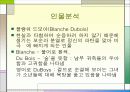영미희곡 '욕망이라는 이름의 전차' 분석 18페이지