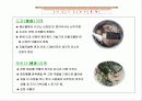 일본의 라면 -  라멘 6페이지