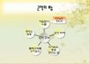 저칼로리 다이어트 떡 개발 3페이지