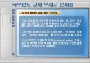 국부펀드 규제에 관하여 12페이지