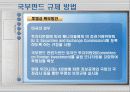 국부펀드 규제에 관하여 13페이지