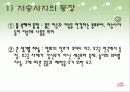 이윤택 감독의 영화 오구 심층분석 16페이지