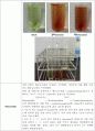 헤모글로빈 측정(Cyanmethemoglobin 방법) 3페이지