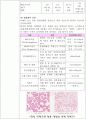 헤모글로빈 측정(Cyanmethemoglobin 방법) 11페이지