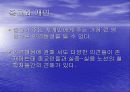 종교가 사회에 미치는 영향 8페이지
