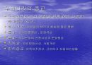 종교가 사회에 미치는 영향 11페이지