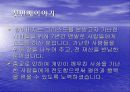종교가 사회에 미치는 영향 13페이지