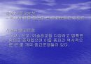종교가 사회에 미치는 영향 19페이지