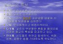 종교가 사회에 미치는 영향 29페이지