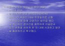 종교가 사회에 미치는 영향 36페이지
