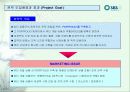SBS美 브랜드 런칭전략제안서 9페이지