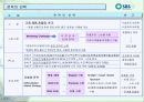 SBS美 브랜드 런칭전략제안서 43페이지
