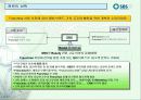 SBS美 브랜드 런칭전략제안서 58페이지