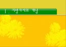 지방 분권화 시대의 지역사회복지 3페이지