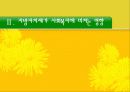 지방 분권화 시대의 지역사회복지 8페이지