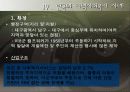 지방 분권화 시대의 지역사회복지 22페이지