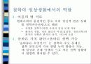 철학은 우리의 삶에 실질적인 도움을 주는가? 5페이지