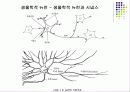 알기 쉬운 인공 신경망 개념 및 계산 과정 설명 ( Neural Network ) 4페이지