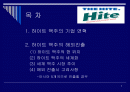 하이트 맥주의 시장진입 결정 2페이지