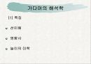 해석학과 구성주의 18페이지