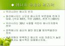 원자력발전 3페이지