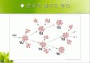 원자력발전 6페이지
