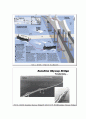 Sunshine Skyway Bridge 선샤인 스카이 브리지 붕괴 사고와 교량 선박 충돌에 관하여 - 선박과 교량의 충돌 해석 및 설계, 충돌 방지공 관련 6페이지