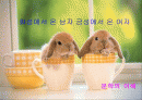 사랑학 지침서 '화성에서 온 여자 금성에서 온 남자' 1페이지