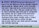 퍼쉬 비쉬 셸리 (Percy Bysshy Shelley 1792~1822) 12페이지