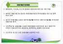 관광개발의 문제점 1페이지