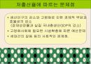 저출산및 출산지원정책 11페이지